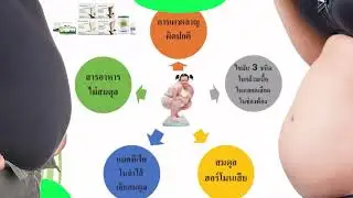 ความผิดปกติและไม่สมดุลของระบบต่างๆ เหล่านี้ เป็นสาเหตุหนึ่งของโรคอ้วน