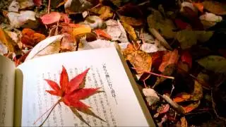 Masakazu Yoshizawa - Moon [HD]