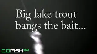 Gofishcam debut - just a quick clip to show the first time I deployed the Gofishcam.