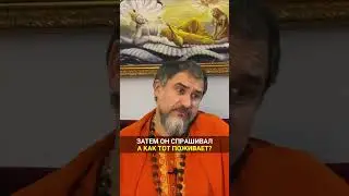 Осознать глубину несовершенства | Свами Вишнудевананда Гири