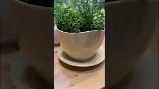 Горшок для цветов