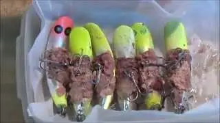 IMPROVE YOUR SALMON CATCH !