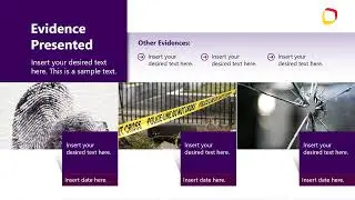 Professional Law Case PowerPoint Template