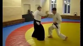Fragments of the aikido training