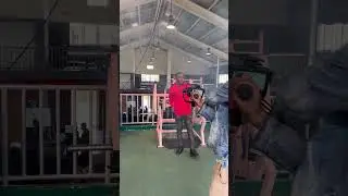 Melhor projeto de música 2023 