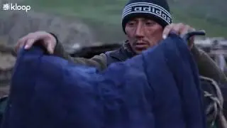 Яки, волки и снег летом. Жизнь на высоте 3000 метров