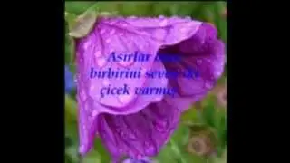 Aşk Hikayesi...