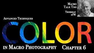 Color in Macro Chapter 6 -  Macro Talk Too 