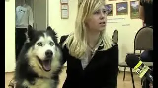 Не палимся )) прикол с собакой