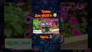 Прокачай Свой Мозг 🍀 #огород #сад #урожай #теплица #зож