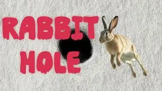 Rabbit hole meaning | english vocabulary with examples | idioms in daily life