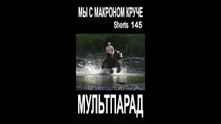 Круче Путина только мы! Shorts 145. Смешные видео. МУЛЬТПАРАД COMEDY.