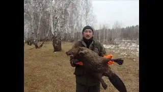 Охота на бобра/Трофей взят, продолжаем тестить приманку