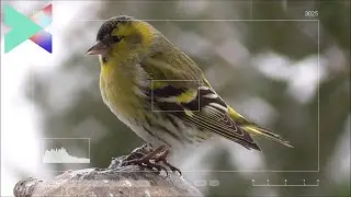 Snapshot Photo Freeze Frame Effect In Filmora X | Tutorial 2021 | Trending-Tech.