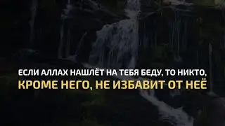 Сура 6 Аль-Ан’ам | Abbadi Houssem | Красивое чтение Корана