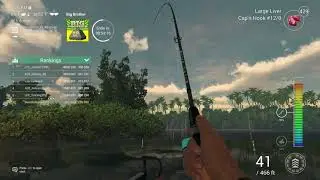 4, 400+lb Trophy Bull Sharks on float  Amazonian Maze Fishing Planet