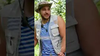 Каркас АФРЕЙМА треугольный дом #загородка #reebaz #рибаз