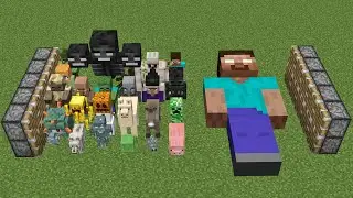 all minecraft mobs + herobrine = ???