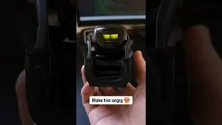 How do I play with my pet robot (Anki Vector) 