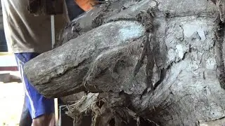 the detailed process of sawing ancient teak. Indonesia teak sawing