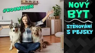 STĚHUJEME SE🏠! Stěhování s pejsky