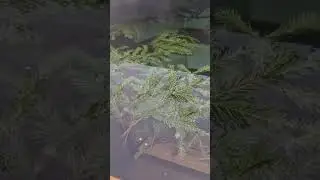 Чанотерапия в экоотеле «Горячие ключи» в Суздале! Бронирование отдыха:8-800-1000-919