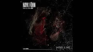 Hayk Föhn - The Other Side (Original Mix)