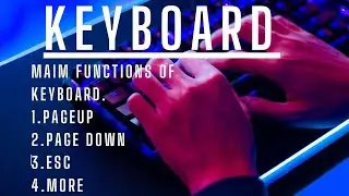 Main Functions of Keyboard