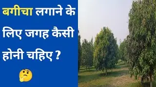 Location & site selection for an Orchard || बगीचा लगाने के लिए जगह कैसी होनी चाहिए?