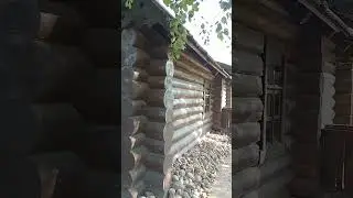 Дом Арины Родионовны в Деревне Кобрино 