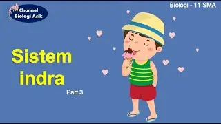 Sistem Indra part 3 (Indra pengecap dan Indra pembau) - Biologi kelas 11 SMA