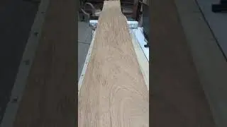 Шпон Череджейра пинтада