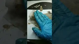 Глубокое травление - рисунок коловрат.