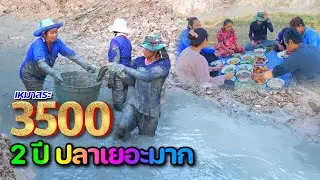 อลังการปลา!! เหมาสระ 3,500 บาท 2ปี ไม่เคยสูบต้องแบบนี้ชื่นใจ l เหมาสระปี67 l Ep.11