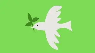 🕊️🐦 Bird's flying on Green screen