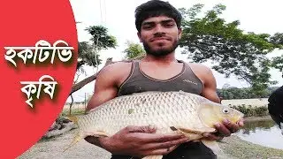 হকটিভি কৃষি- পর্ব-2 | fishing in the villages | 2019