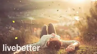 Acoustic Soft Songs   Greatest Soft Songs On Spotify OUT