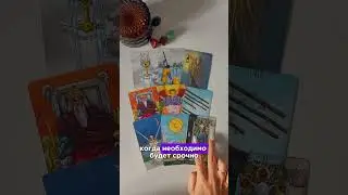 Девы 🌟 таро прогноз на сентябрь. Запись на личный расклад - вотсап +79038293999