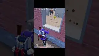 стримы в 