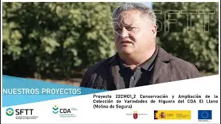 Proyecto 22CMO1_2 Conservación y Ampliación de la Colección de Variedades de Higuera
