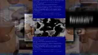 (REUPLOAD) (YTPMV) You Are An Idiot Csupo Scan
