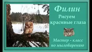 Филин. Как нарисовать красивые глаза. Мастер-класс по мыловарению.