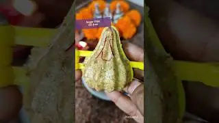 Sugar free protein modak #recipe #shorts #shortsvideo #protein #ashortaday