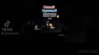 Природа берёт своё 🏞️😬☝️