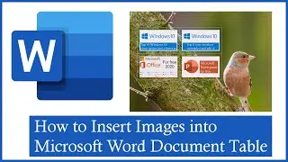 How to Insert Images into a Microsoft Word Table | Easy Picture Placeholder Tutorial