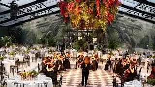 Kiral Artists String Orchestra - gala dinner & wedding reception music