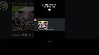 O ADM Adicionou Novas Regras 😳 #shortsvideo #shortsfeed