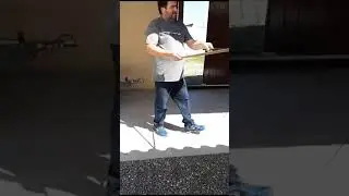 COBRA VOLTANDO PRO SEU HABITAT #perigos #cobras