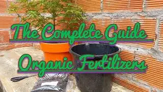 The Complete Guide To Cannabis Organic Fertilizers. How to Add Organic Fertilizers to Marijuana.