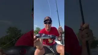 Son of Beast! | Top Water Musky Bait